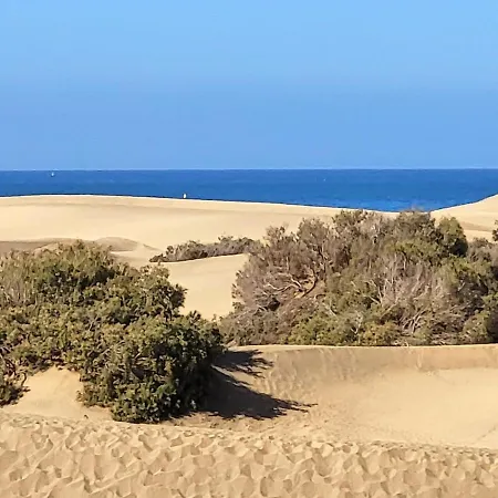 Taidia Tropical Appartement Maspalomas  Buitenkant foto